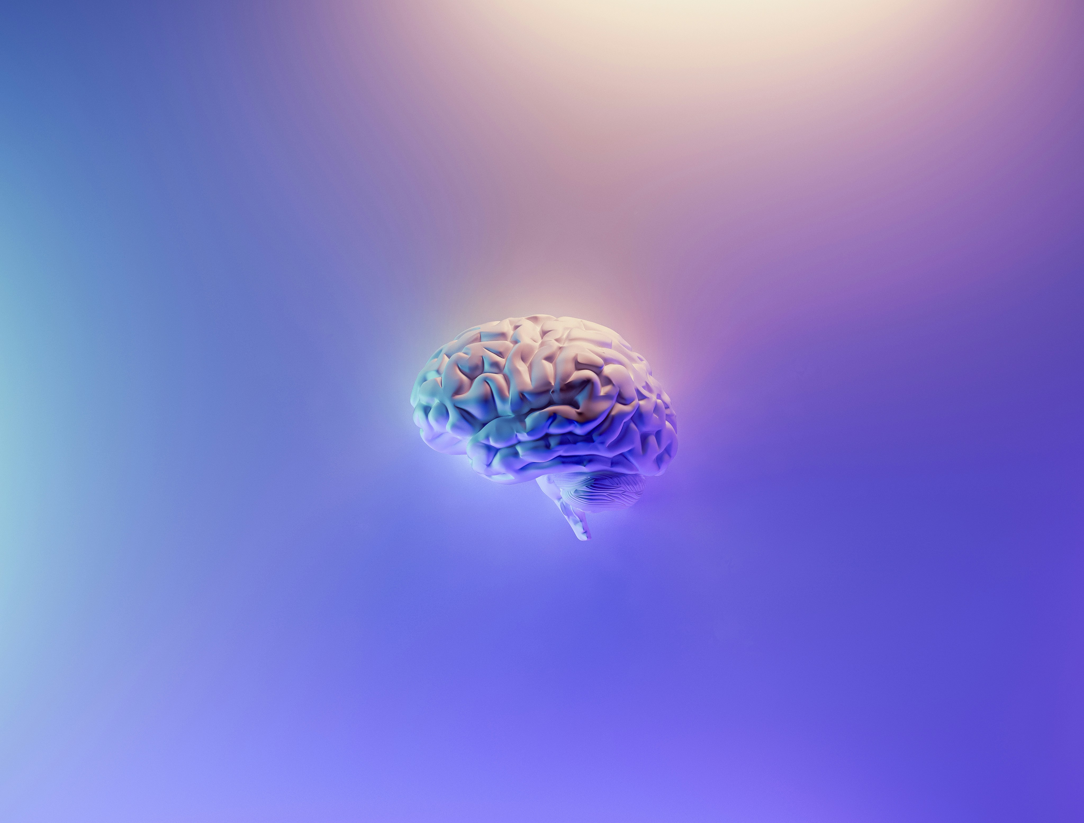 Concussion Assessment & Rehabilitation